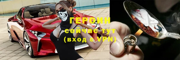молекула духа Осташков