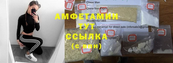 молекула духа Осташков