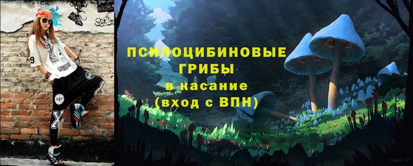 молекула духа Осташков