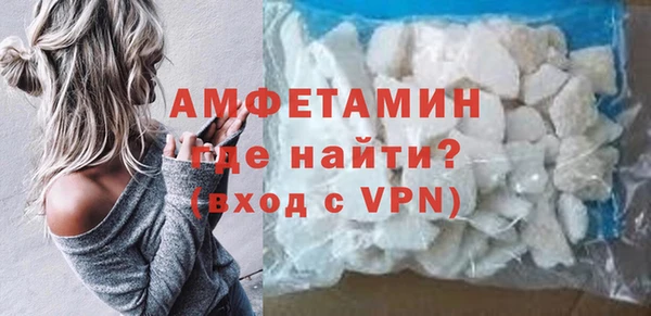 молекула духа Осташков