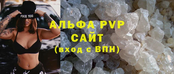 молекула духа Осташков