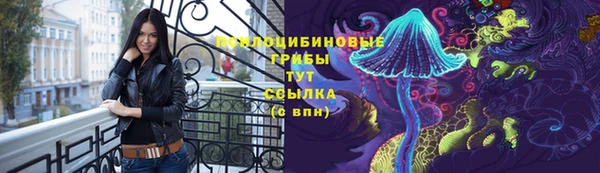 молекула духа Осташков