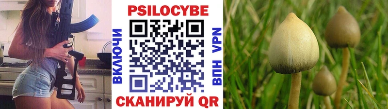 Псилоцибиновые грибы GOLDEN TEACHER  Купить закладки  Монино 